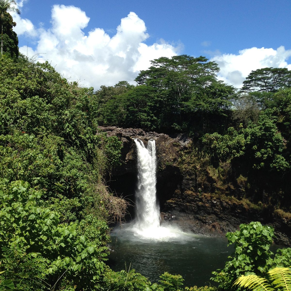 Hilo Culture, Legends, & More Day Tour (Hawaii)