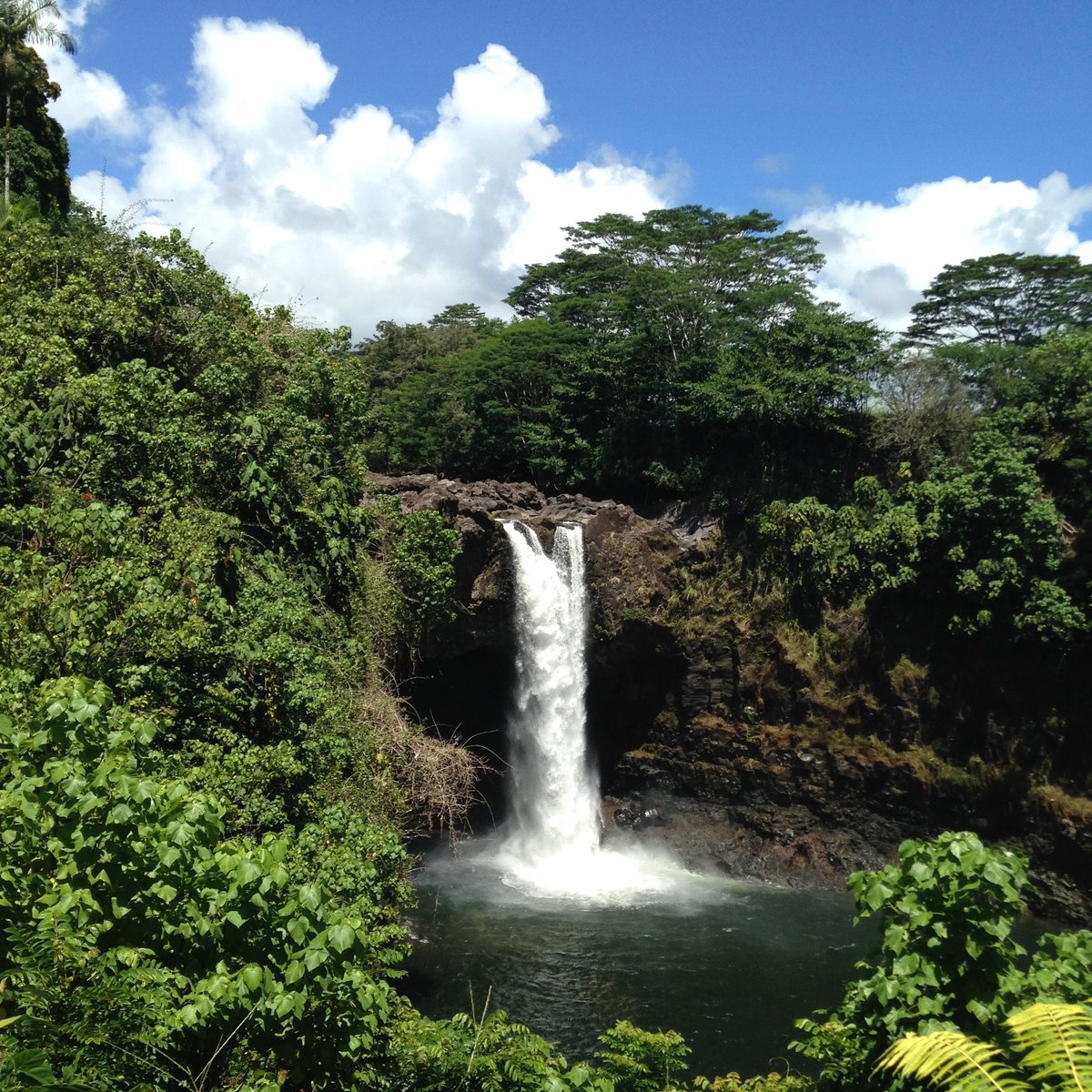 LEGENDS OF HAWAII TOURS (Hilo) - All You Need to Know BEFORE You Go