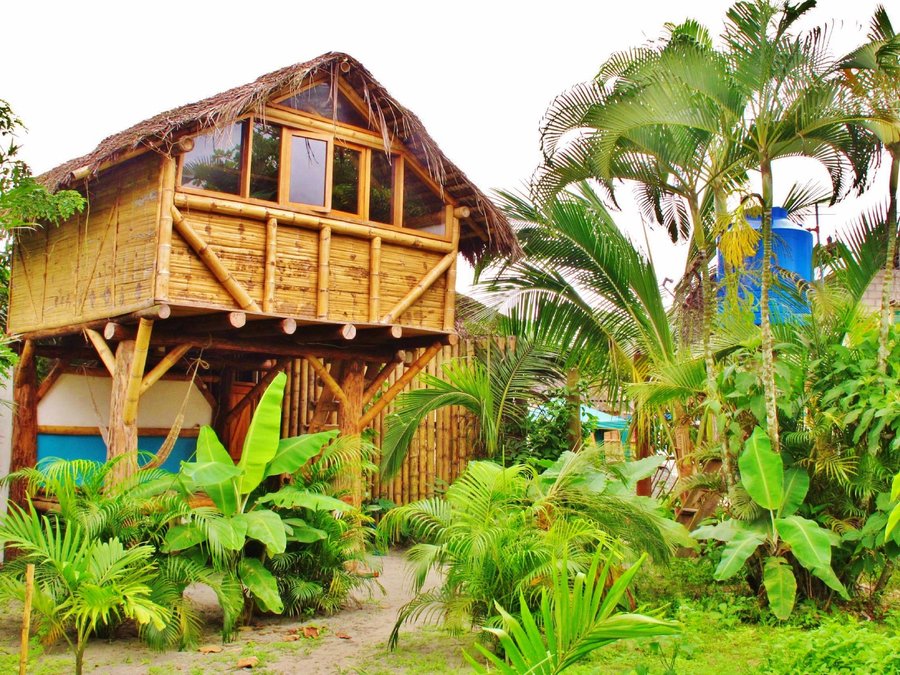 LA JUNGLA TROPICAL  BUNGALOWS  Mompiche Ecuador 