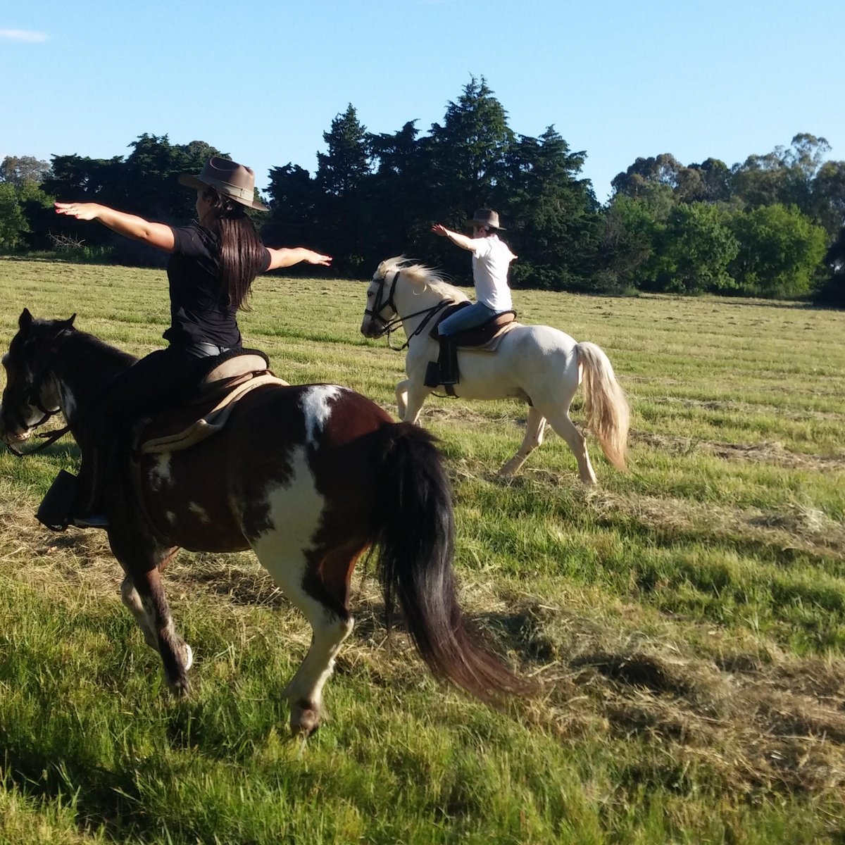 Caballos a la Par - O que saber antes de ir (ATUALIZADO Julho 2024)