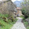 Atila Y