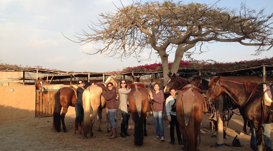 De retour au ranch