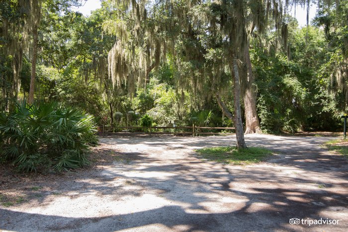 Jekyll Island Campground Rooms: Pictures & Reviews - Tripadvisor