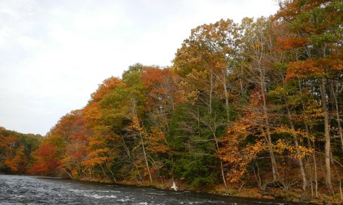 Salmon River