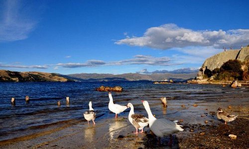 Playa blanca