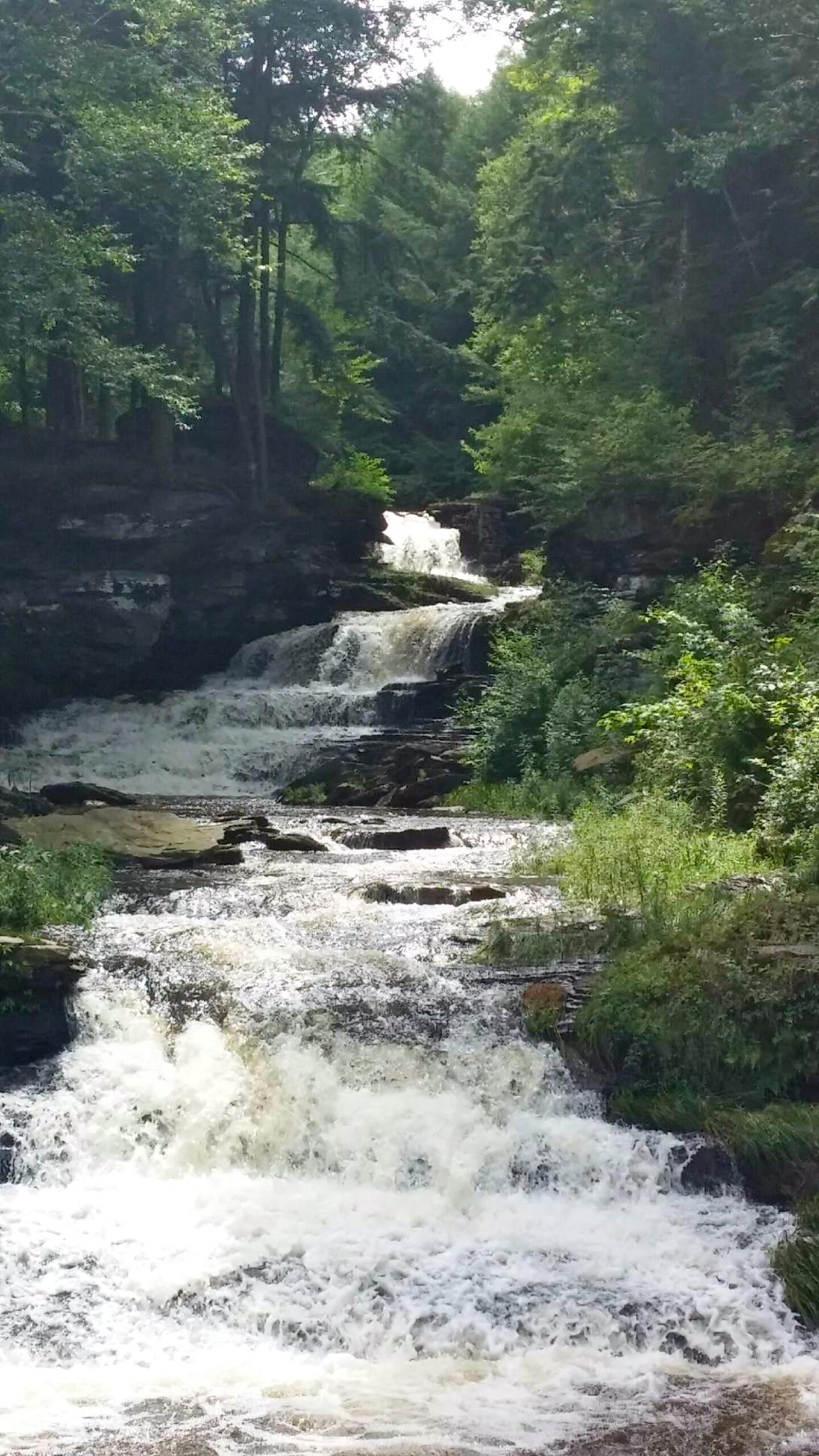 THE BEST Livingston Manor Waterfalls (Updated 2024) - Tripadvisor