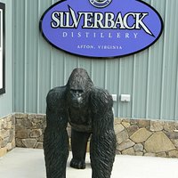"Silverback" awaits your arrival!