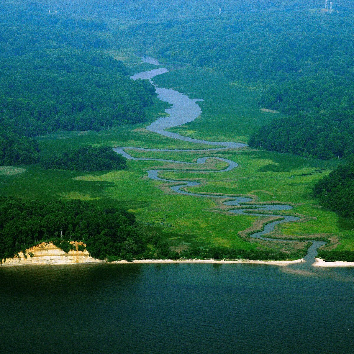 American Chestnut Land Trust - All You Need to Know BEFORE You Go (2024)