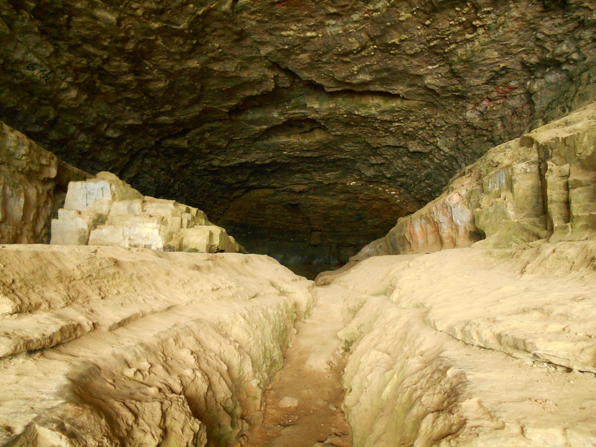 Cave In Rock State Park Cave In Rock IL Anmeldelser Tripadvisor   Cave In Rock State Park 