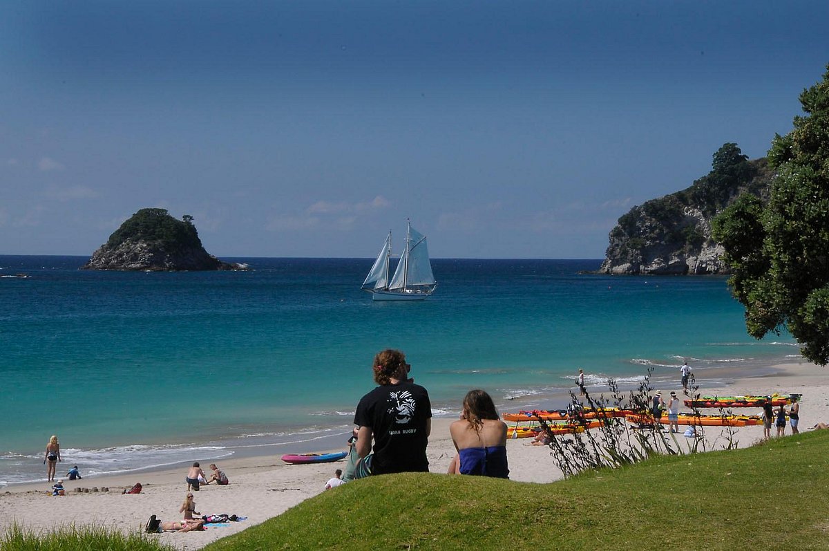 Hahei Beach Resort 80 ̶8̶5̶ Updated 2022 Prices And Campground Reviews New Zealand 7675