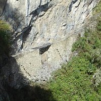 Il ponte