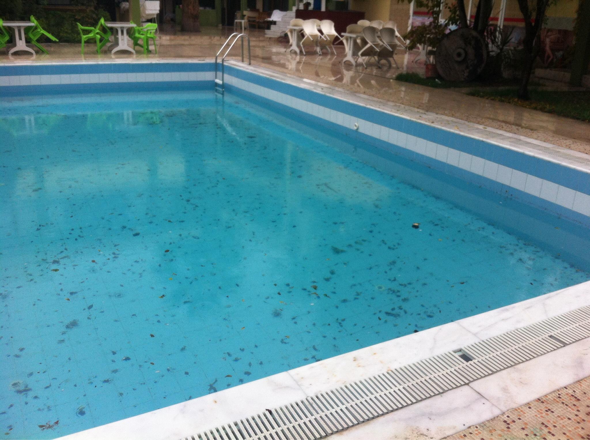Hotel photo 7 of Artemis Yoruk Hotel.