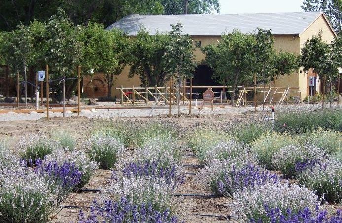 J Bell Cellars image