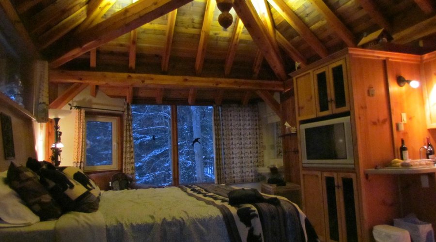 Treehouse