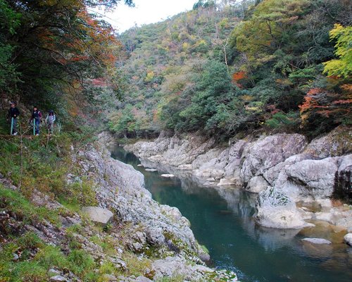 THE 15 BEST Things to Do in Yamaguchi (2024) - Must-See Attractions