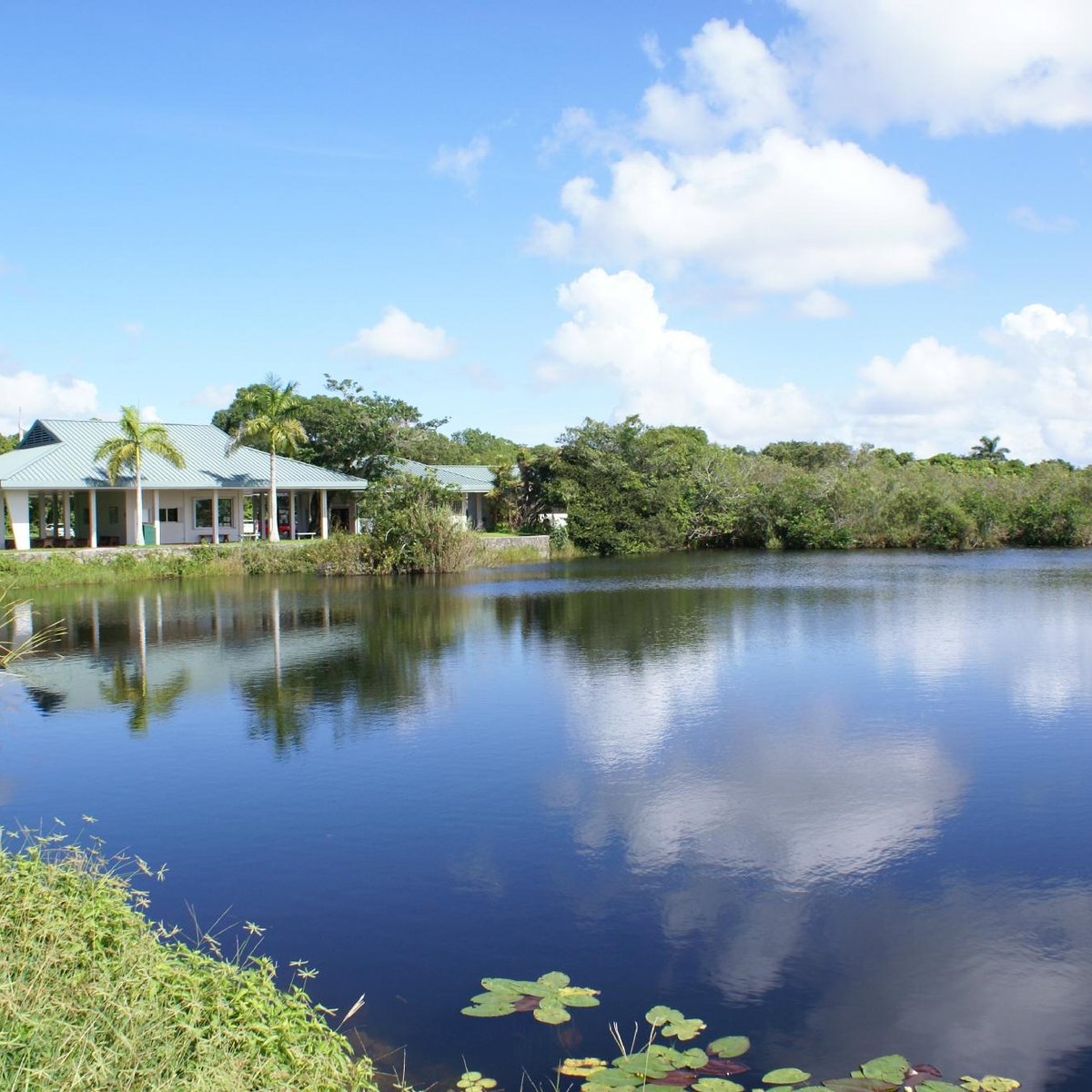 List 94+ Pictures royal palm visitor center everglades national park Sharp