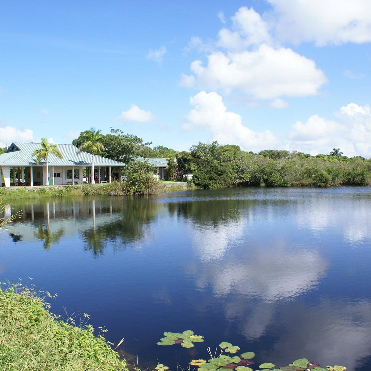 List 30+ Images royal palm visitor center everglades national park Full HD, 2k, 4k List 30+ Images royal palm visitor center everglades national park Full HD, 2k, 4k
