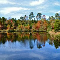 Fall Foliage on Pond