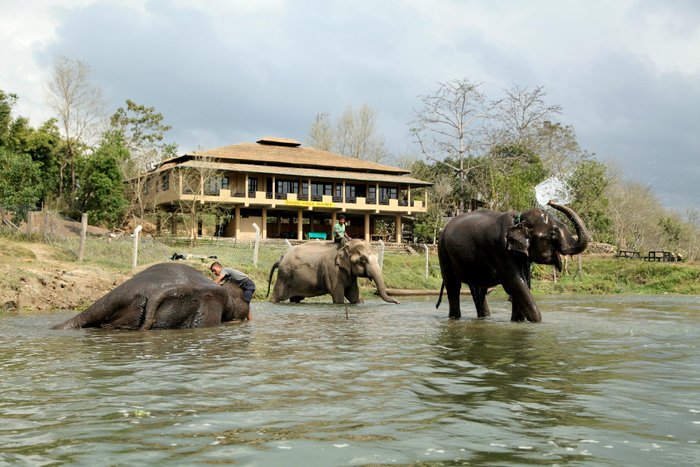 JUNGLE VILLA RESORT : Prezzi e Recensioni 2023