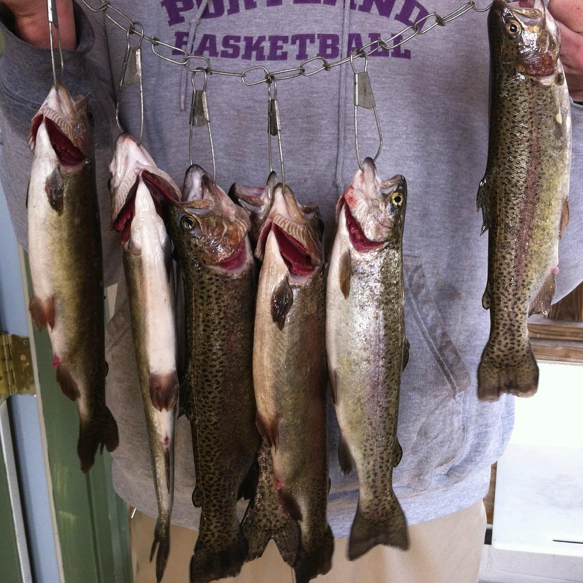 BUCKSNORT TROUT RANCH - All You Need to Know BEFORE You Go (with Photos)