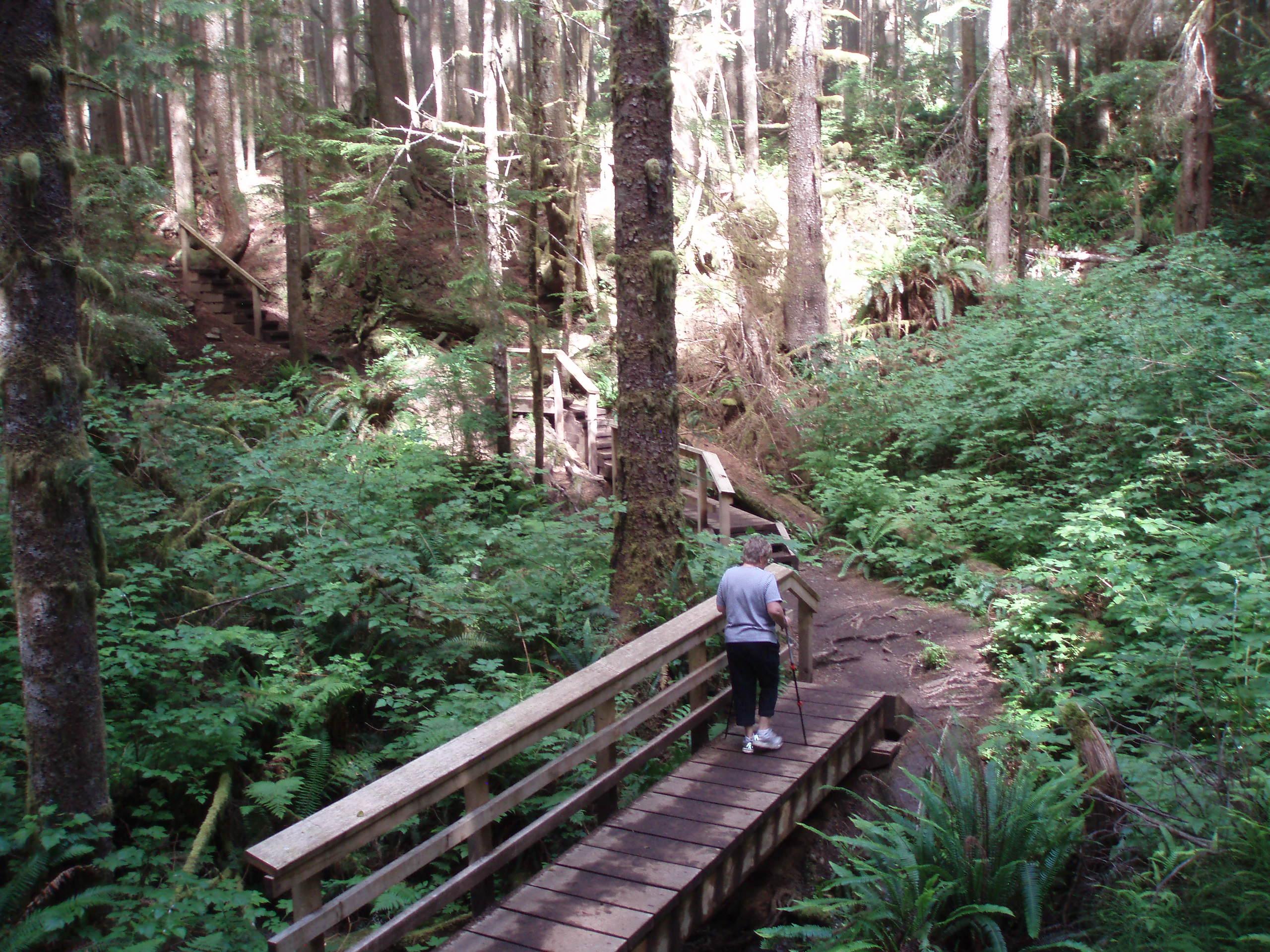 Juan De Fuca Marine Trail Ilha De Vancouver ATUALIZADO 2022 O Que   Hiking To Mystic Beach 