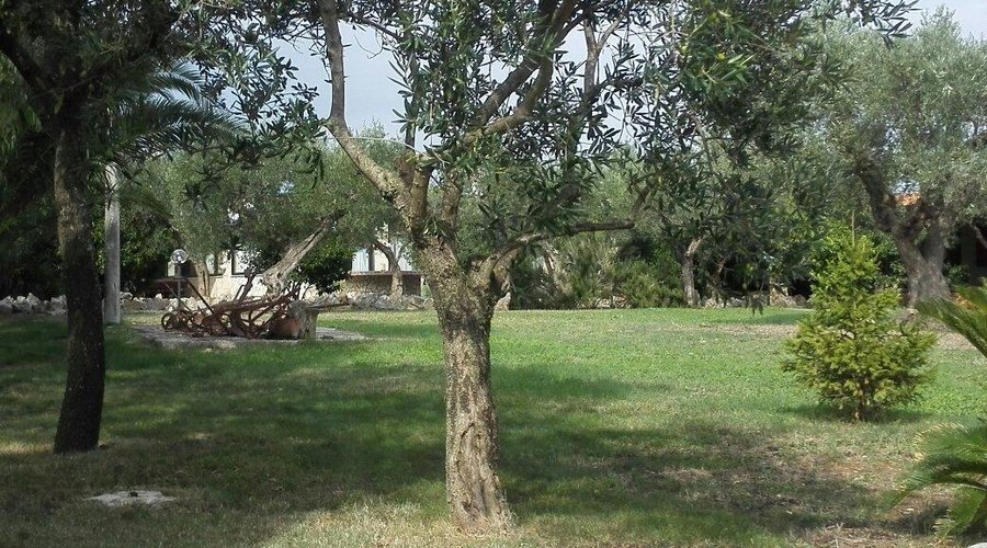 Giardino
