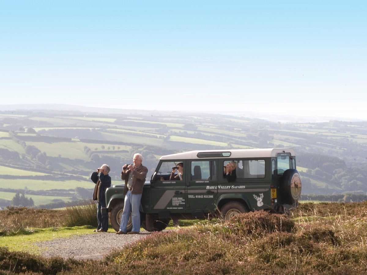 exmoor safari trip