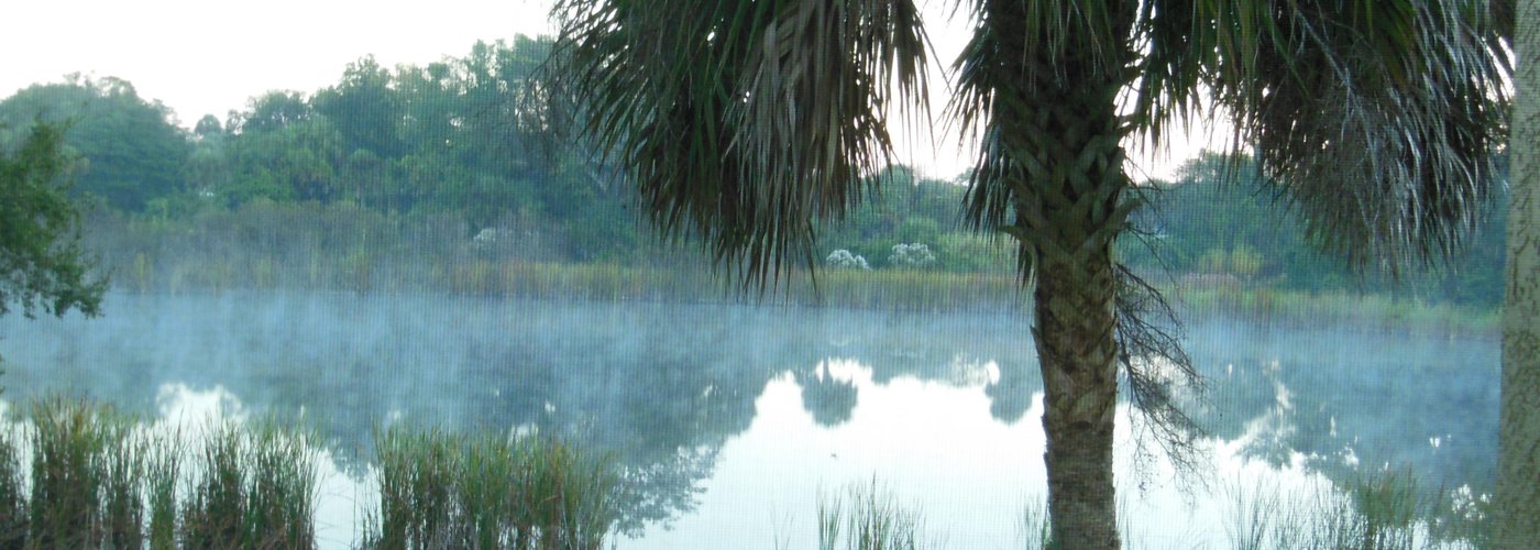 view of pond