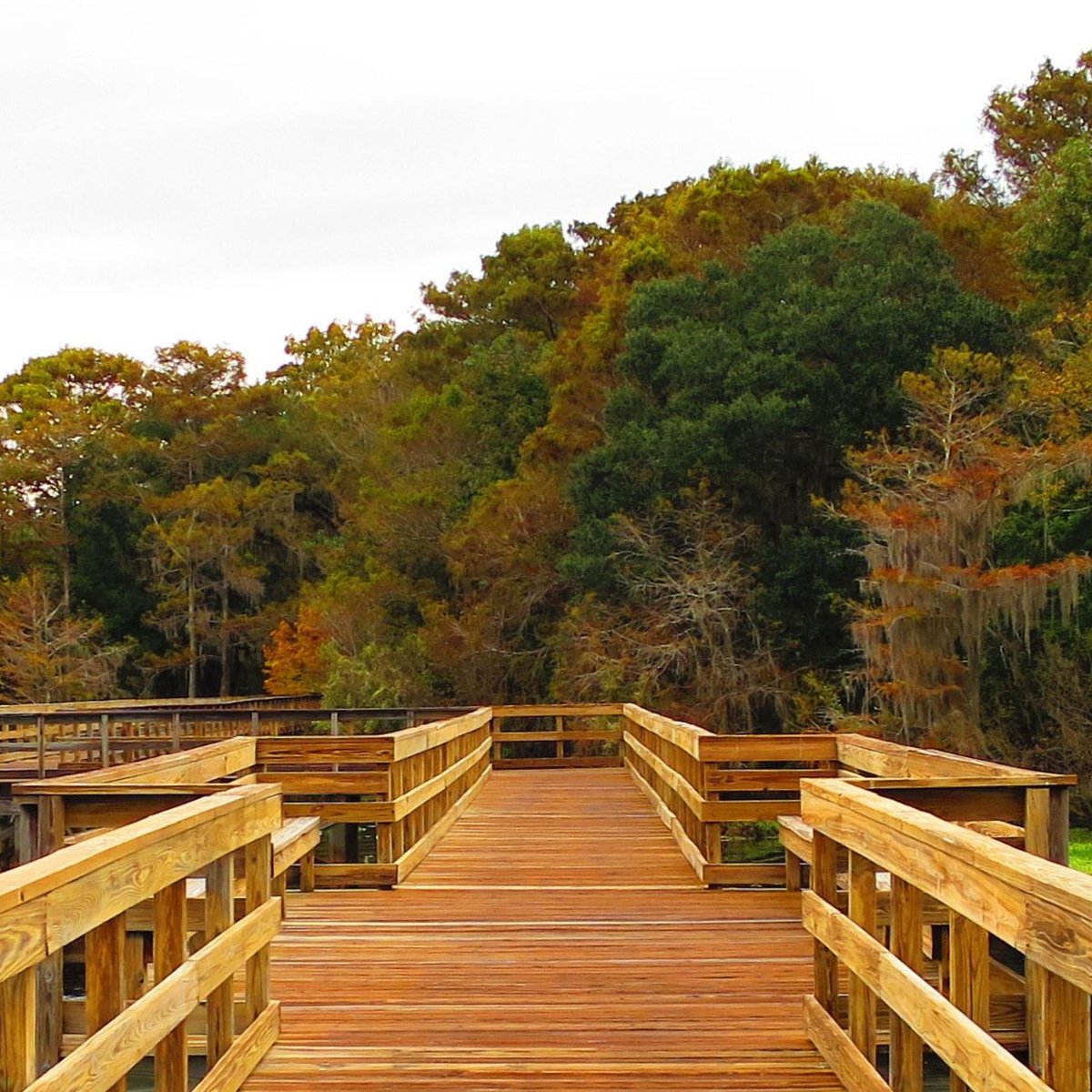 Lake Ashby Park (New Smyrna Beach) - 2021 All You Need to Know BEFORE ...