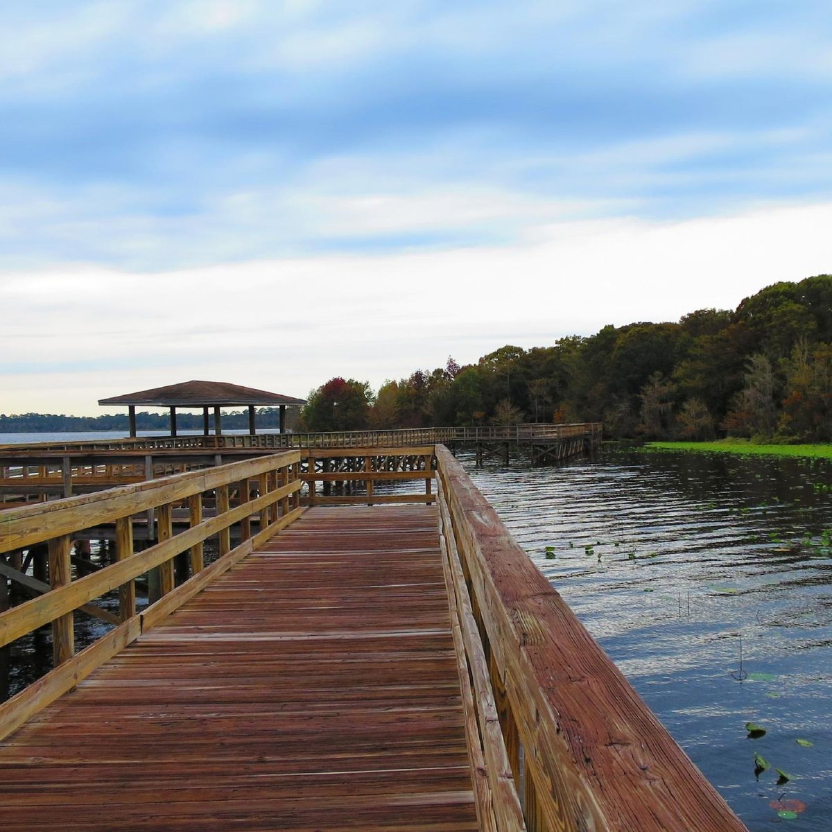 LAKE ASHBY PARK: Tutto quello che c'è da sapere (2025)