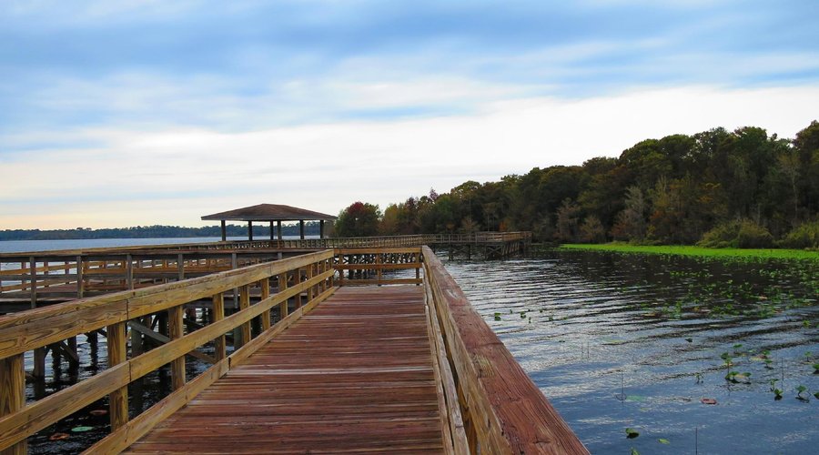 LAKE ASHBY PARK (New Smyrna Beach) - Qué SABER antes de ir