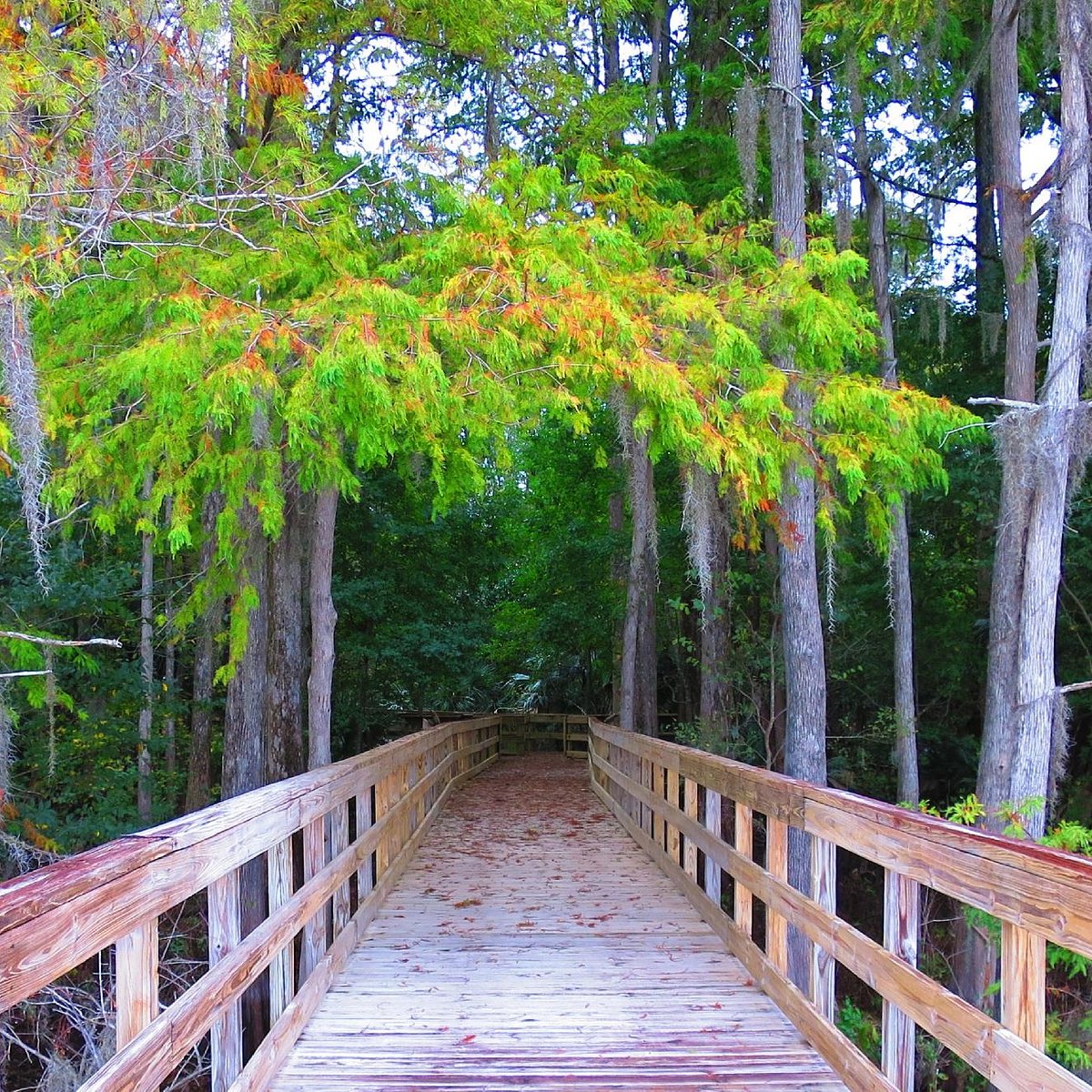 Lake Ashby Park (New Smyrna Beach) All You Need to Know BEFORE You Go