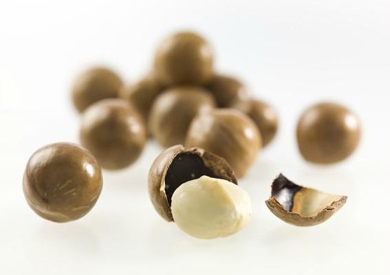 Nut In Shell