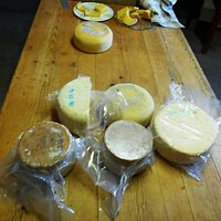 Cheese tasting
