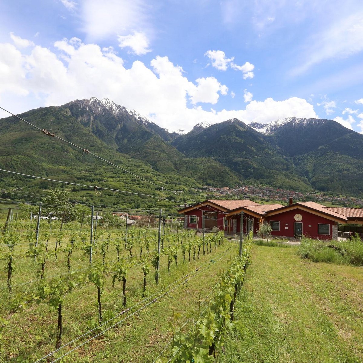 CANTINA ROCCHE DEI VIGNALI (Losine) - All You Need to Know BEFORE You Go