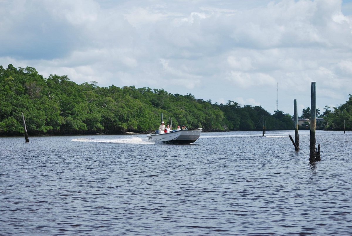 everglades boat tours flamingo