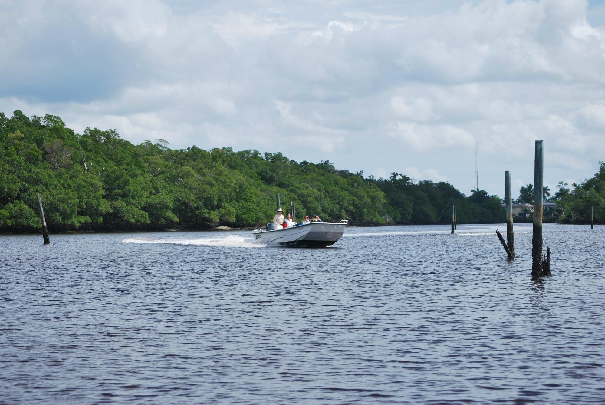 Everglades National Park Boat Tours - All You Need to Know BEFORE You ...