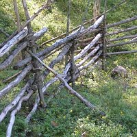 местный аутентичный эко-забор - упорядоченные коряги из леса