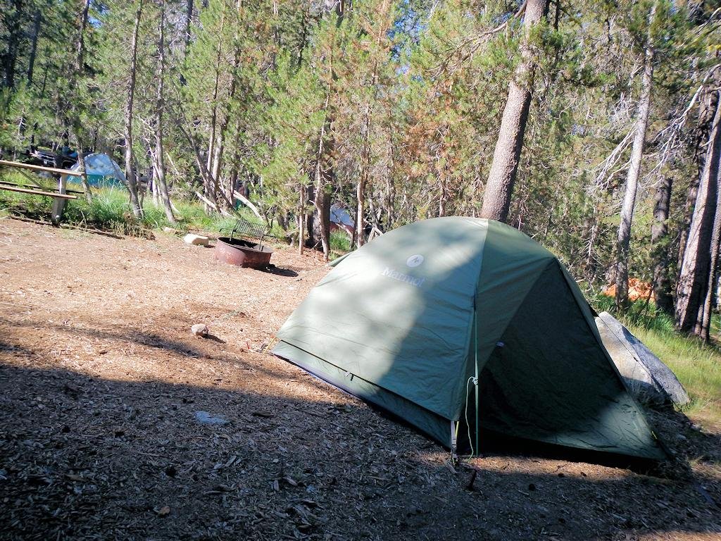 BRIDALVEIL CREEK CAMPGROUND (Yosemite Ulusal Parkı, Kaliforniya) Kamp