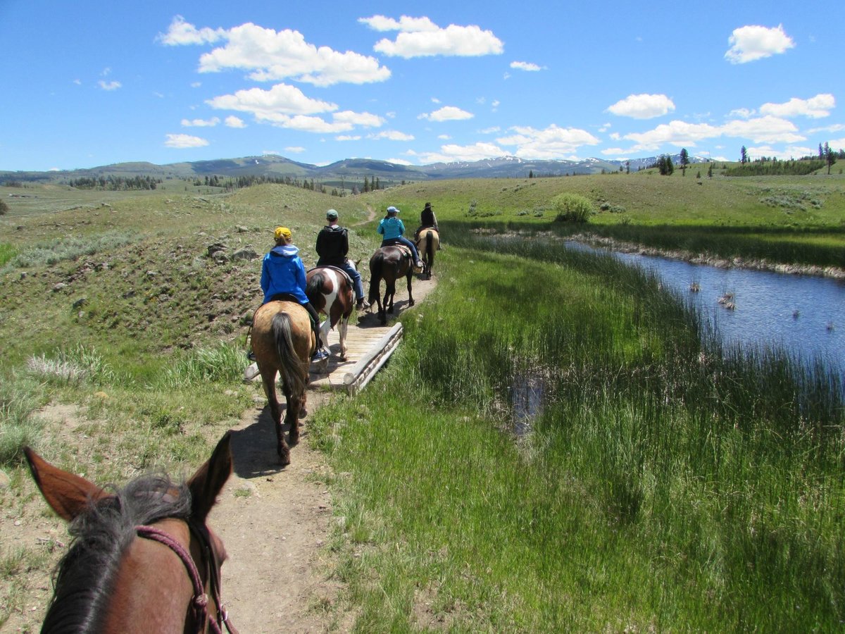 Yellowstone Rough Riders - All You Need to Know BEFORE You Go (2024)