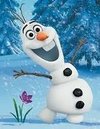 olaf d