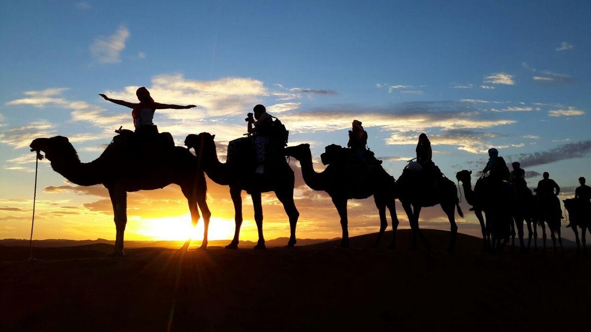 Deserto com areia movediça - Avaliações de viajantes - Wadi Araba Desert -  Tripadvisor