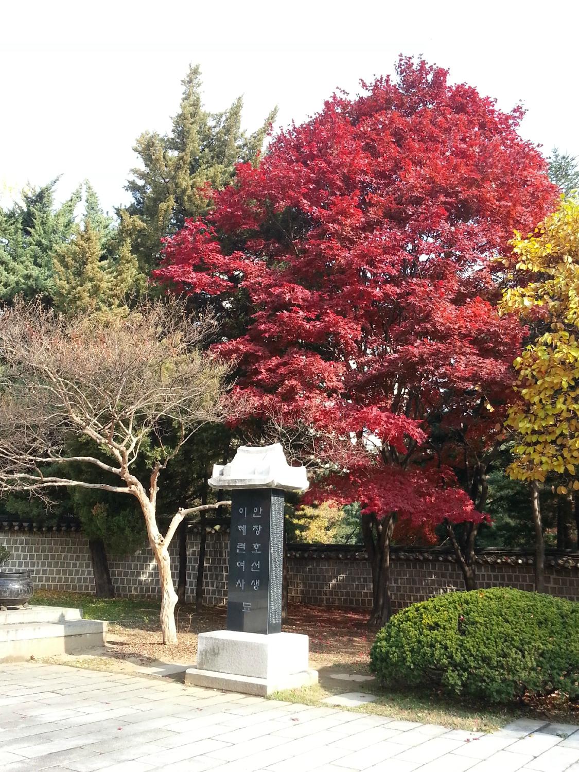 Dosan Neighborhood Park (Seoul, Sydkorea) - omdömen