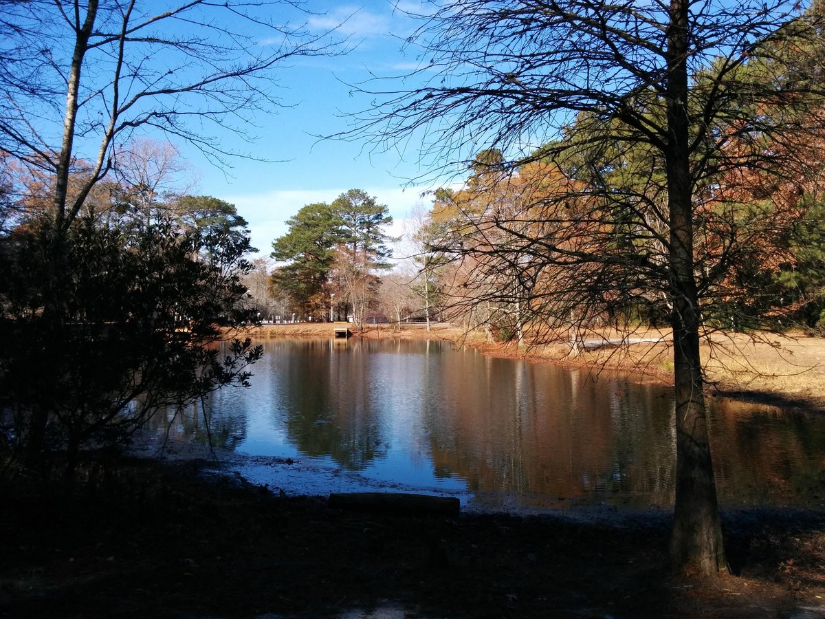 Escape to Serenity: Maryland's Pocomoke River State Park Awaits