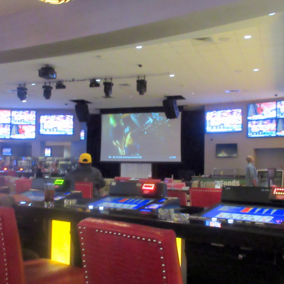 William hill betting reno u s dollar tick by tick forex