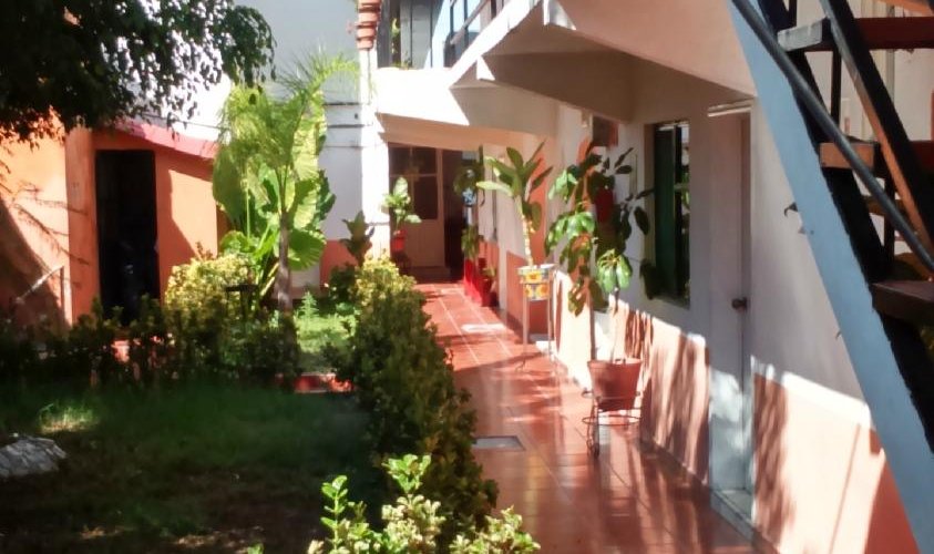 Jardim