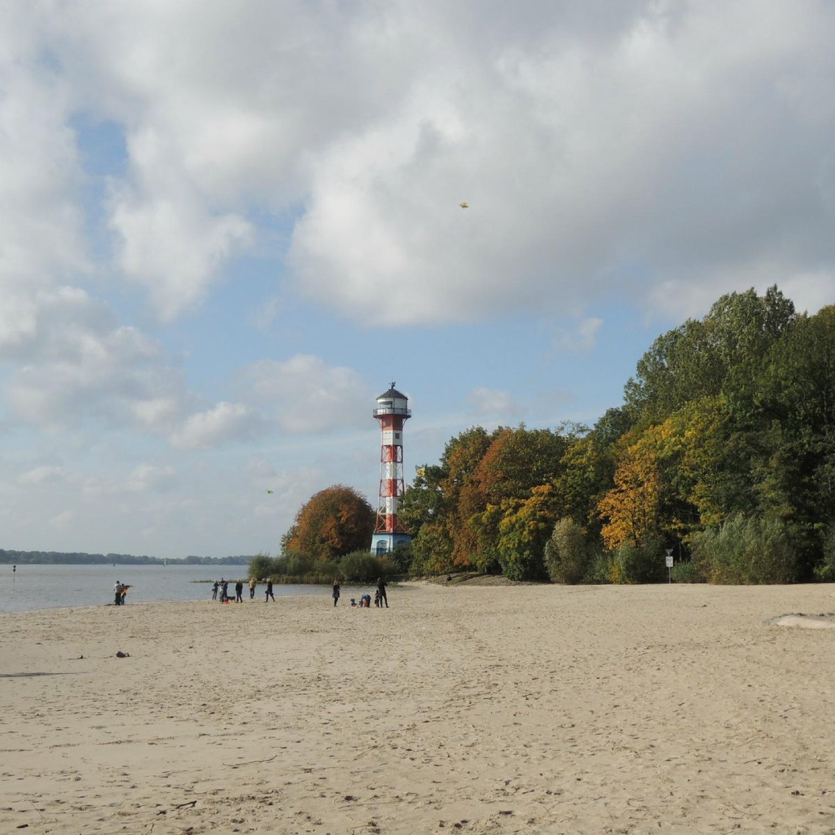 are dogs allowed at hamburg beach