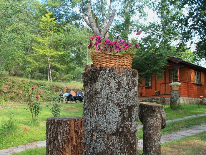 Imagen 10 de Cabanas de Madera Sanabria