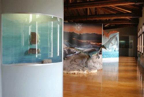 sala evoluzione