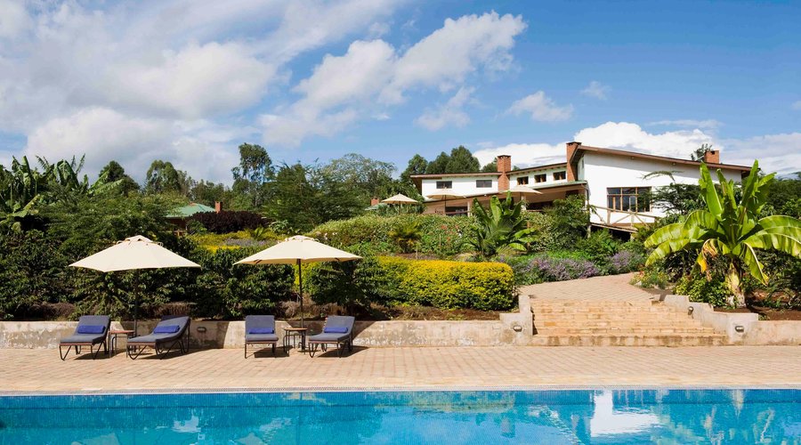 Swimming pool and main house